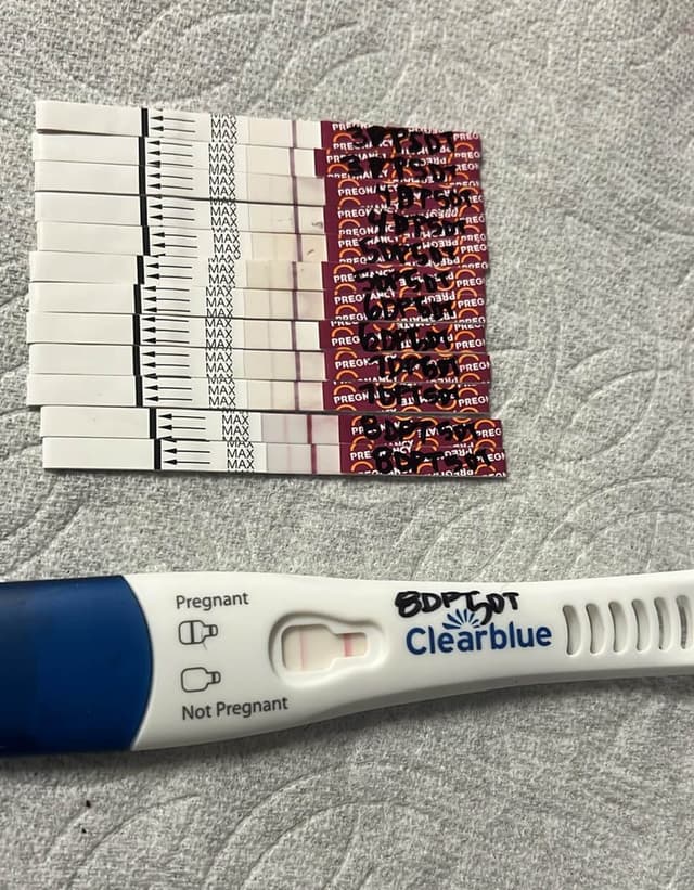 Pregnancy test