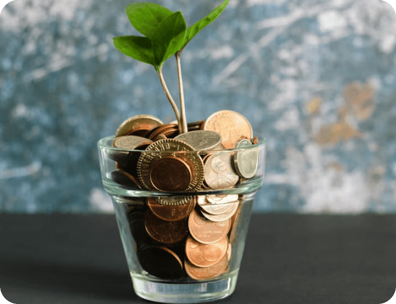 Financial Transparency